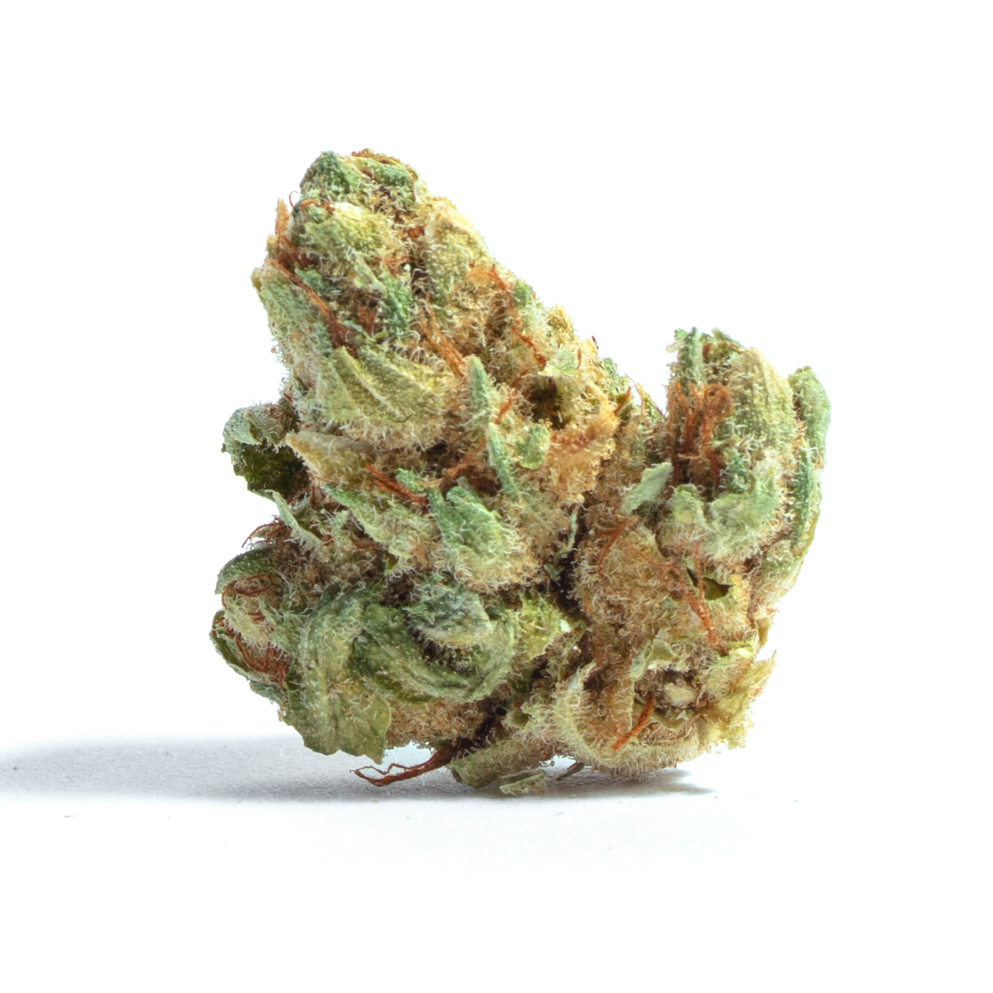 Petroleum Nightmare - Flower strains
