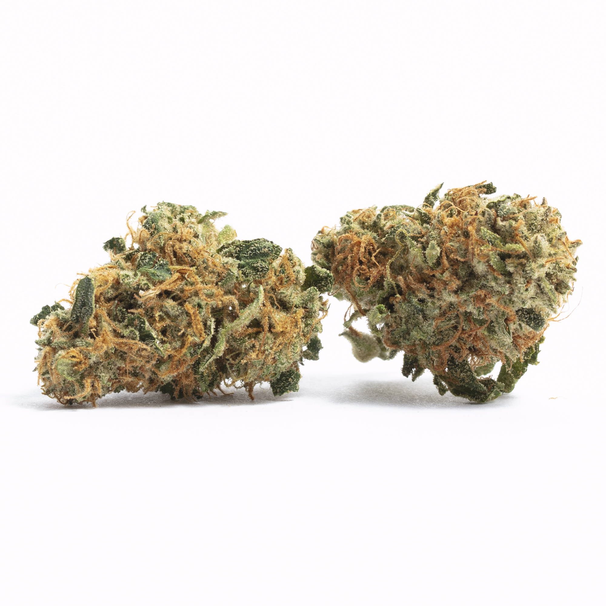 Jacky White - Flower strains