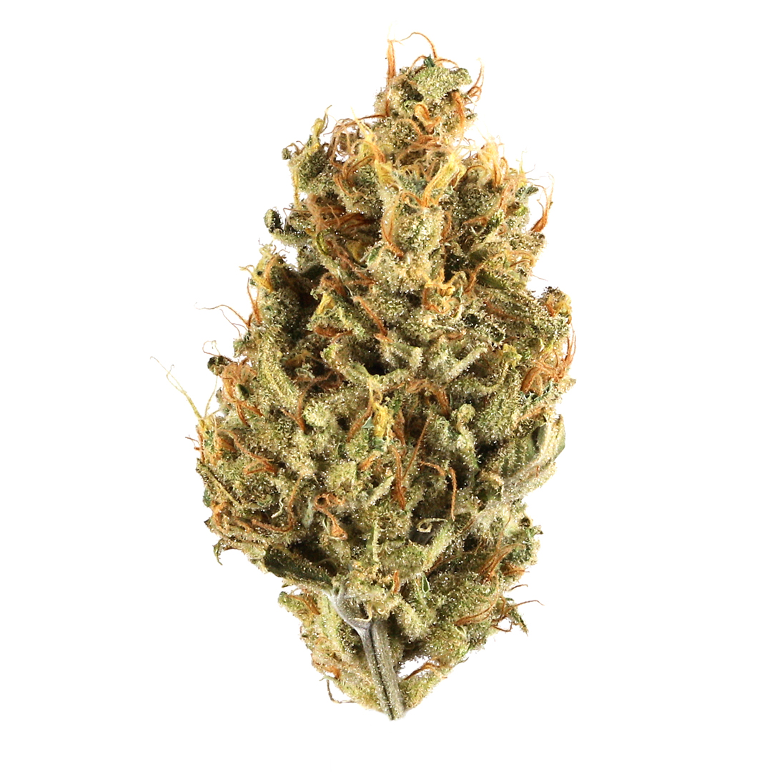 Island Honey - Flower strains